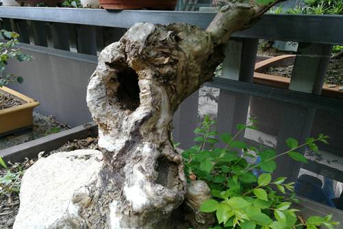 吃乌鸡——色眯眯国产在线播放网站不卡，一场味蕾与健康的盛宴